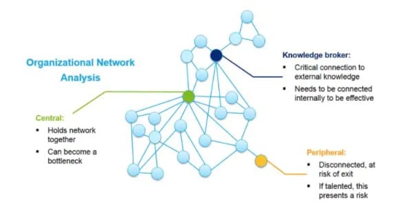 social network analysis business case study
